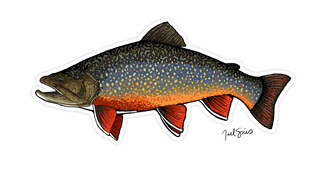 Brook Trout Mini Decal
