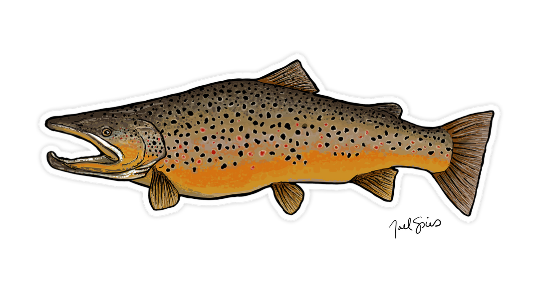 Brown Trout Mini Decal