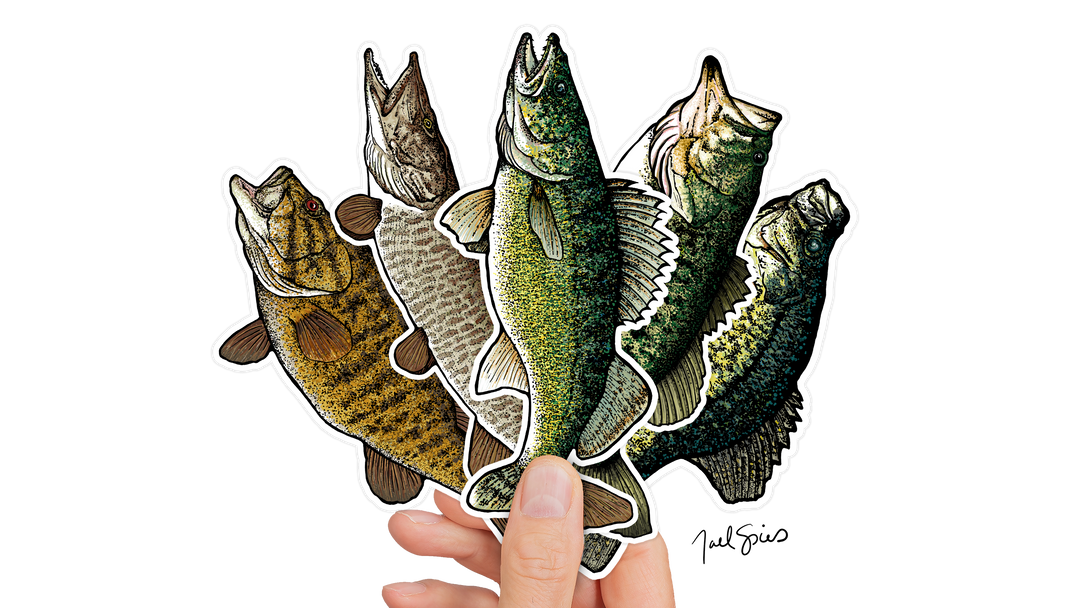 Build Your Own Bundle