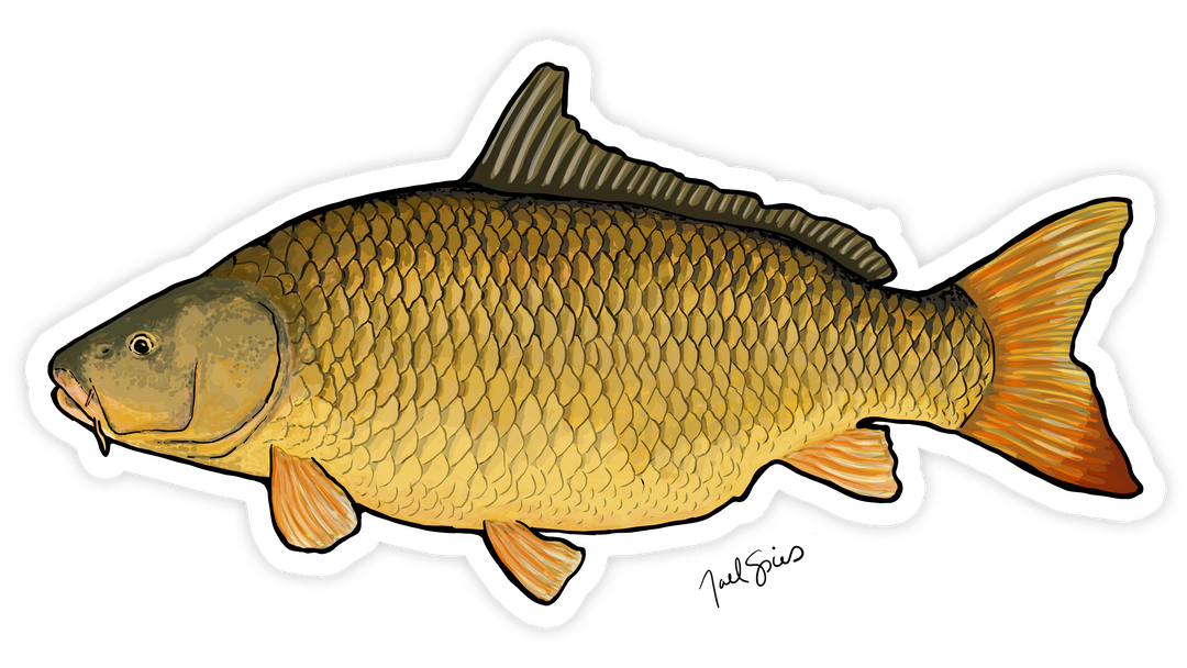 Carp Mini Decal