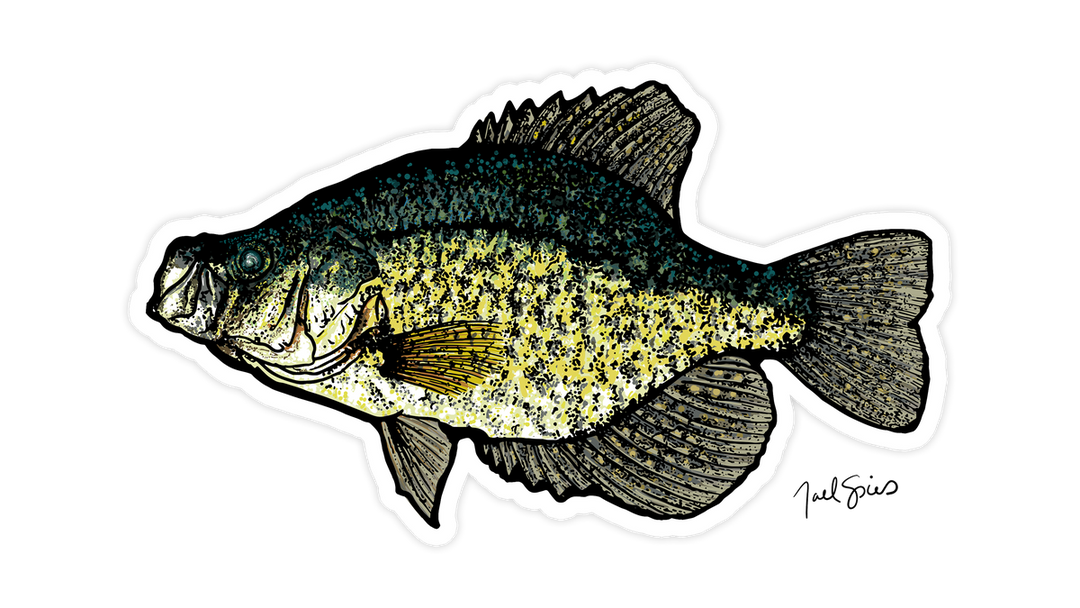 Crappie Mini Decal