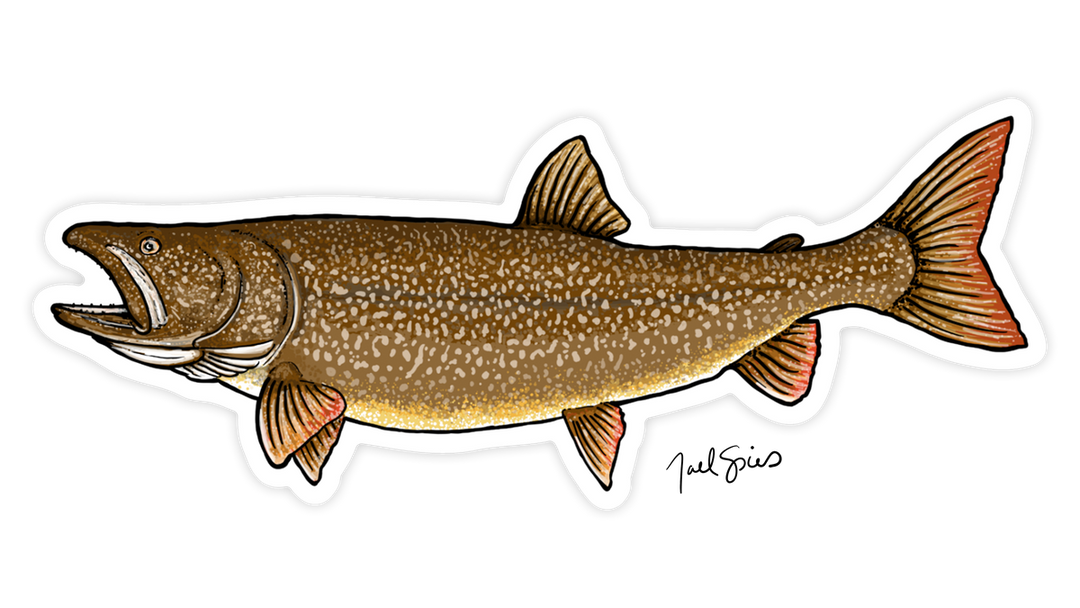 Lake Trout Decal