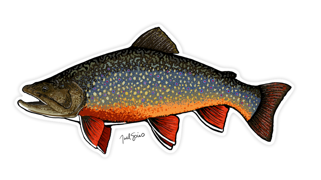 Large Brook Trout Decal