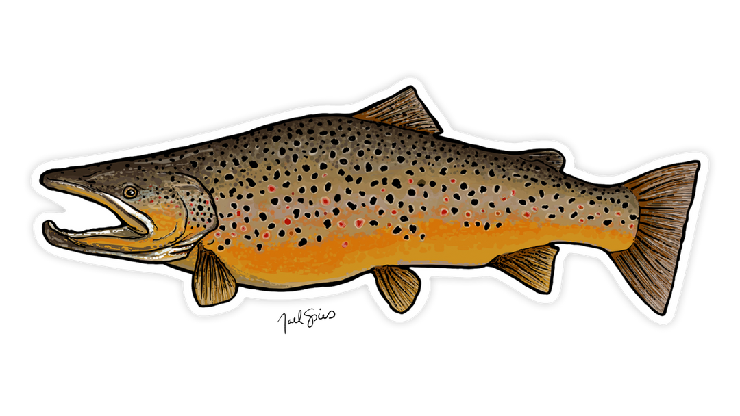 Large Brown Trout Decal
