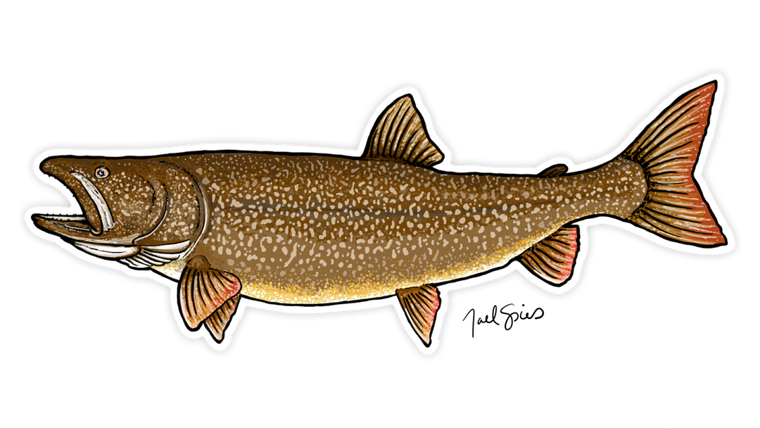 Large Lake Trout Decal
