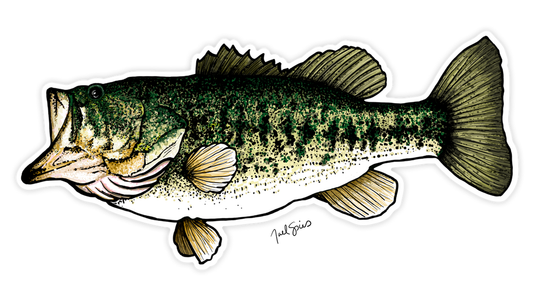 Large Largemouth Decal