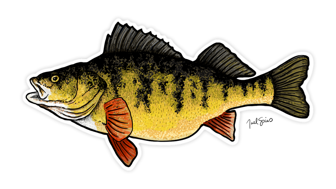 Large Perch Decal