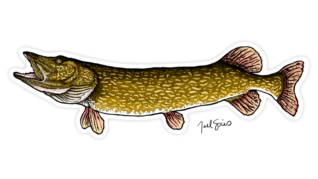 Large Pike Decal