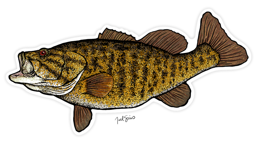 Large Smallmouth Decal