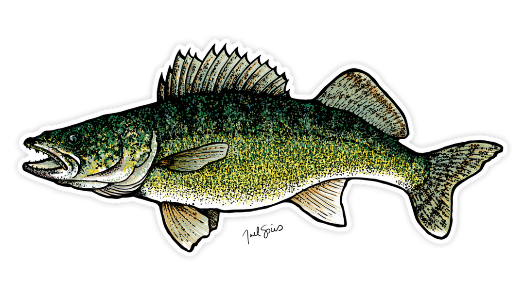 Large Walleye Decal (Ships 5/5)
