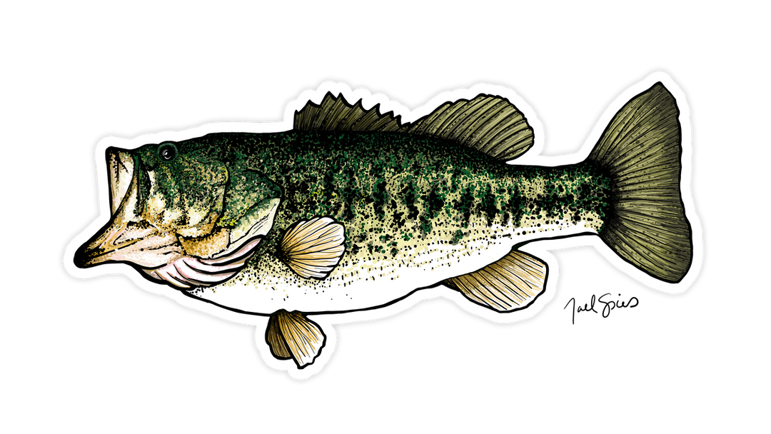 Largemouth Bass Mini Decal