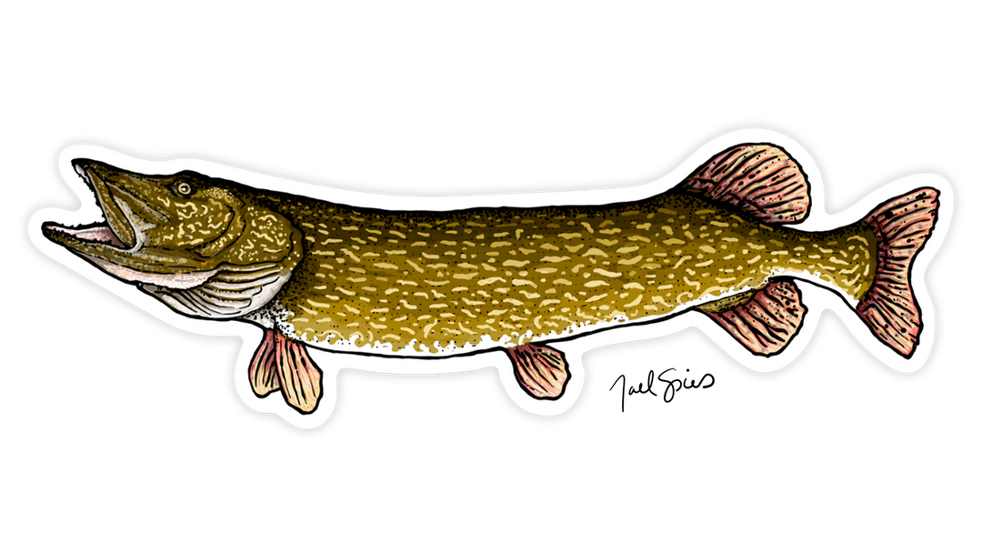 Pike Decal