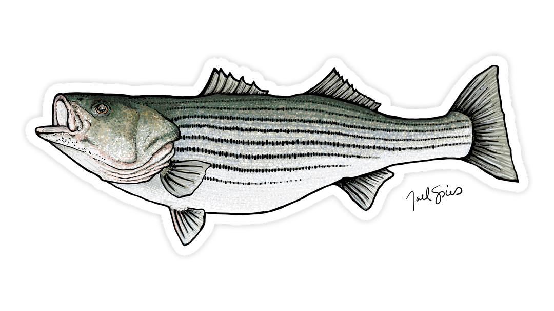 Striper Decal