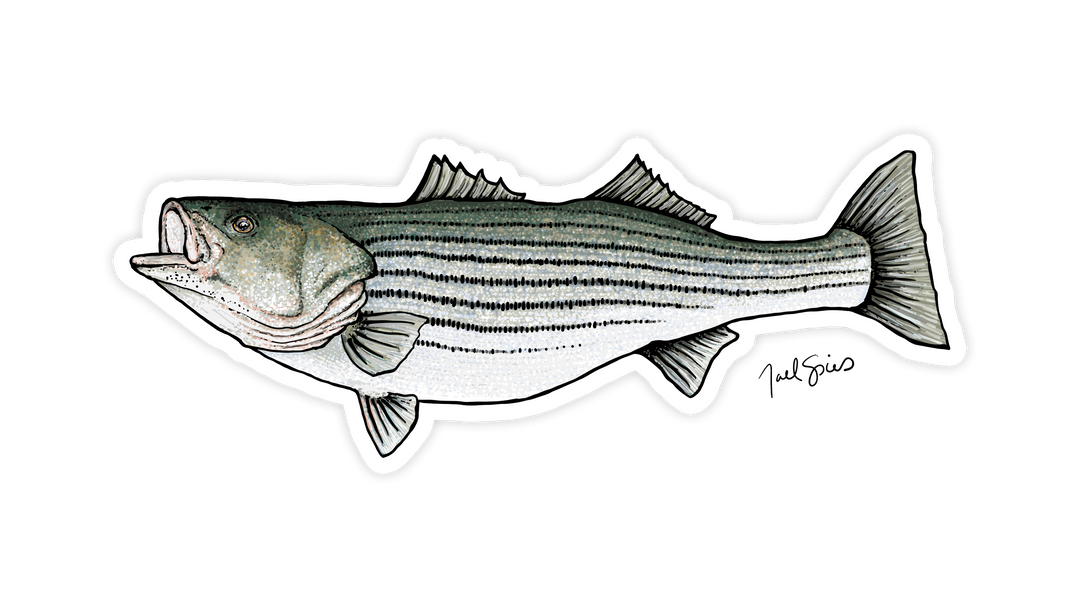 Striper Mini Decal