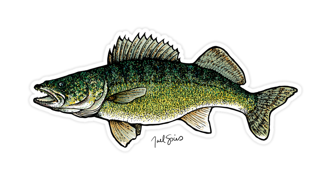 Walleye Mini Decal