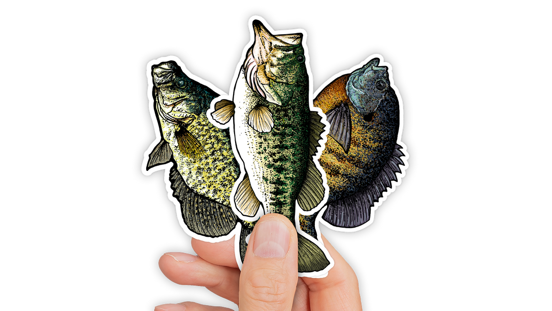 Mini Decal Best Seller Bundle