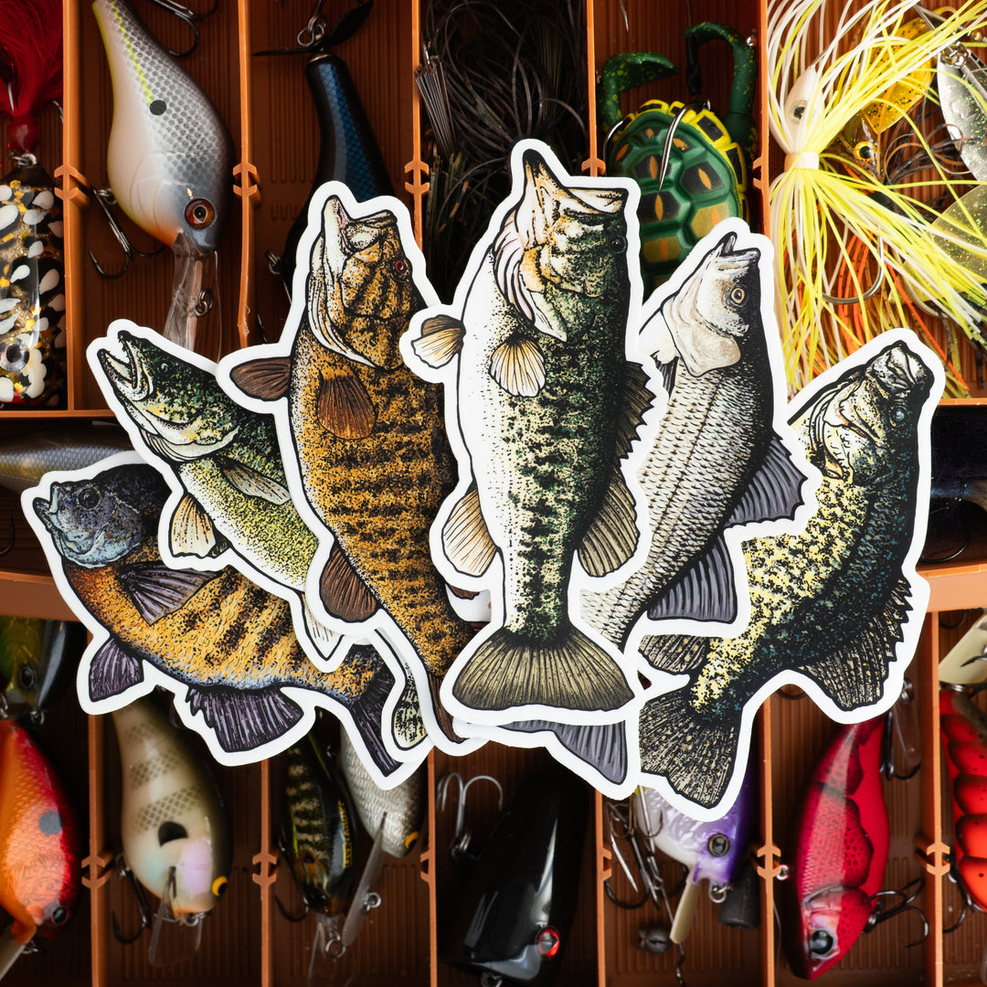 6 fish stickers on a tackle box
