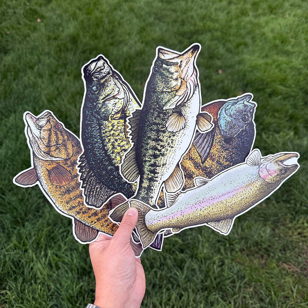 5 big fish decals being held in hand