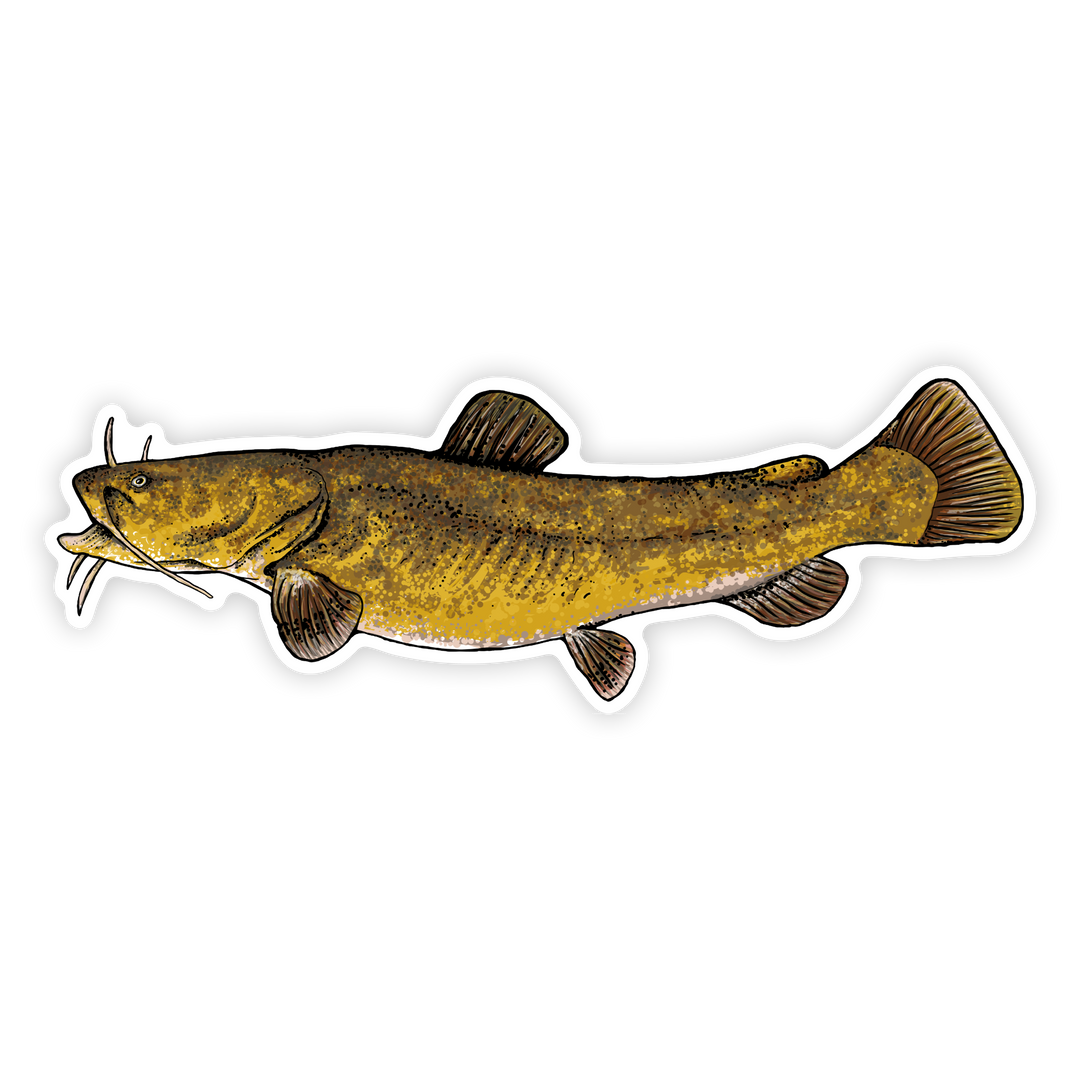 10" flathead left facing on white background