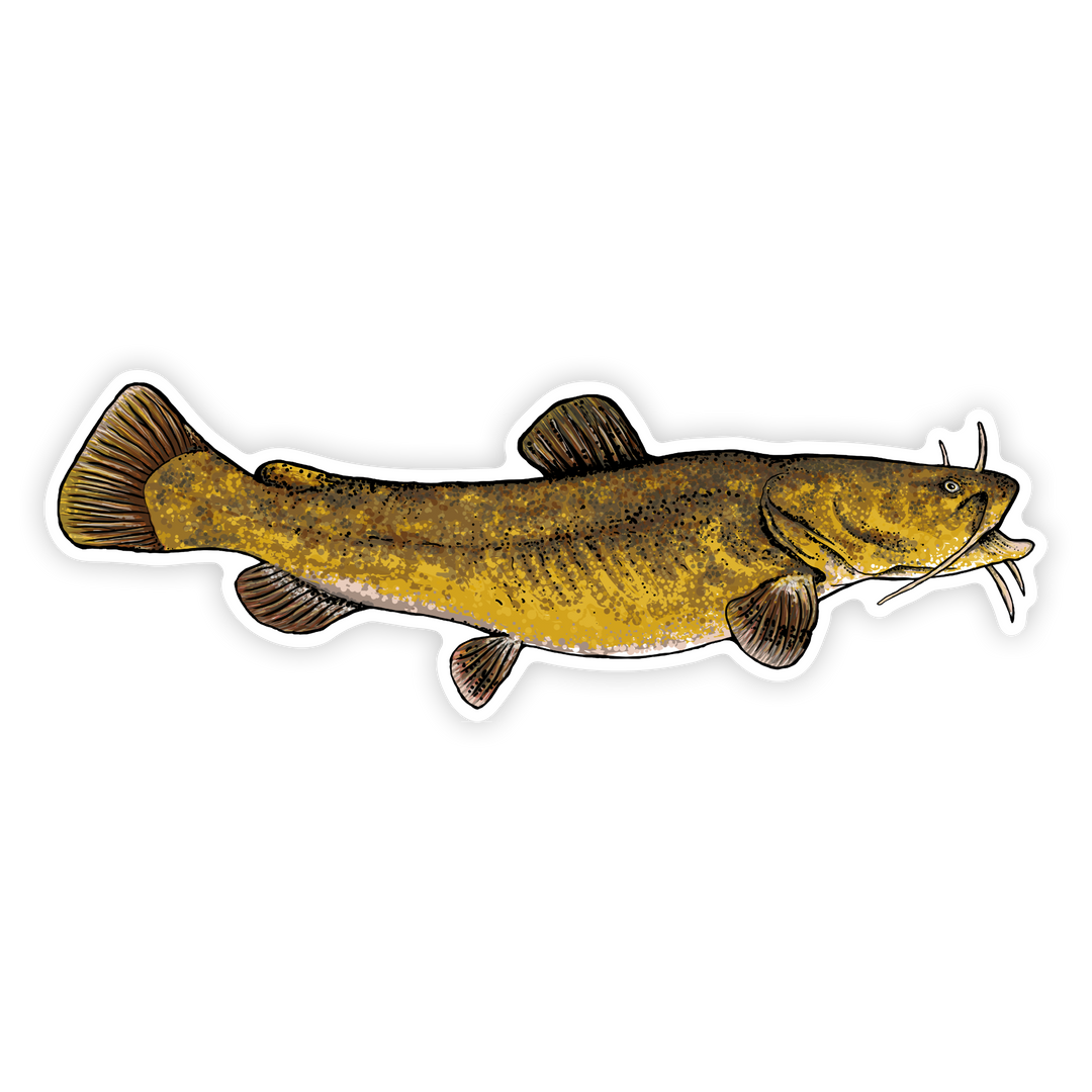 10" flathead right facing on white background