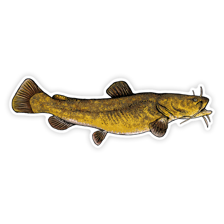 10" flathead right facing on white background