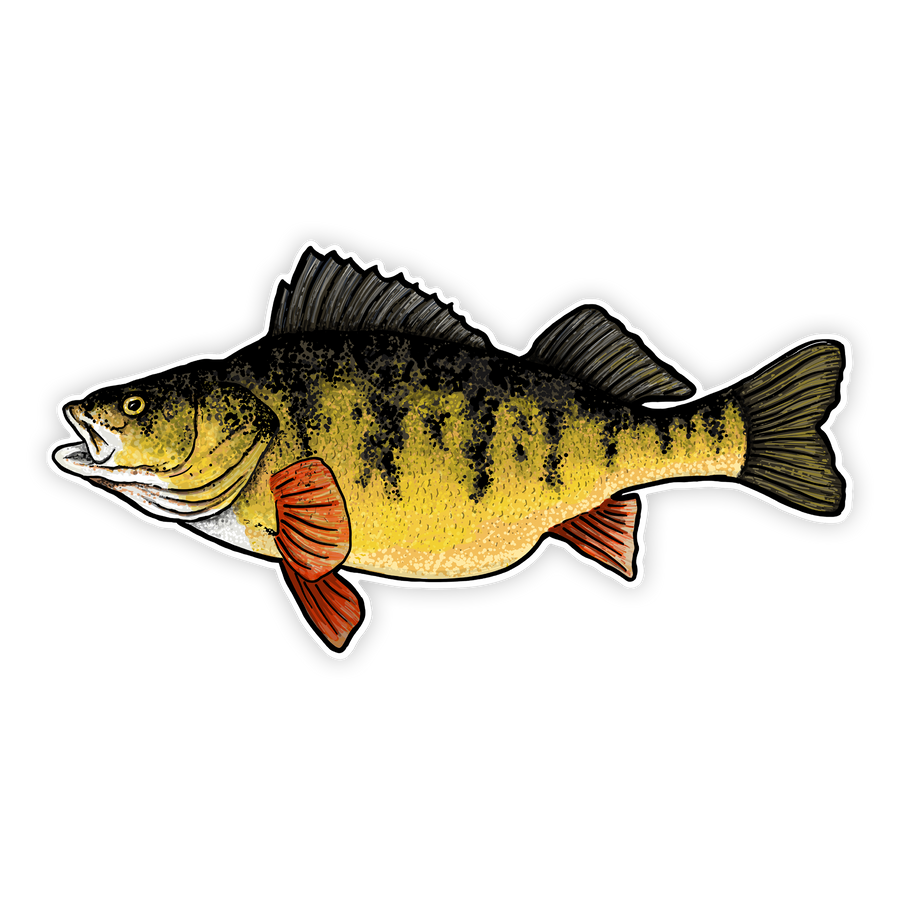 10" perch decal left facing on white background