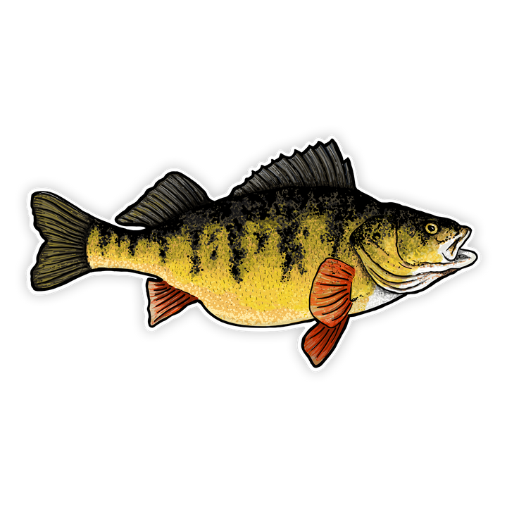 10" perch decal right facing on white background