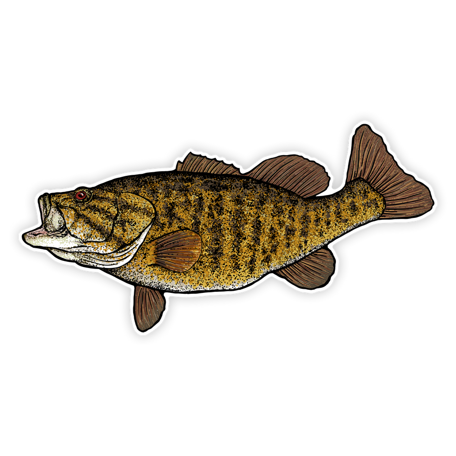 10" smallmouth bass decal left facing on white background