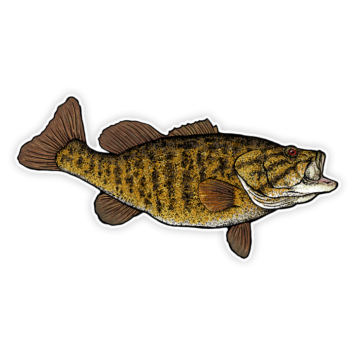 10" smallmouth bass decal right facing on white background
