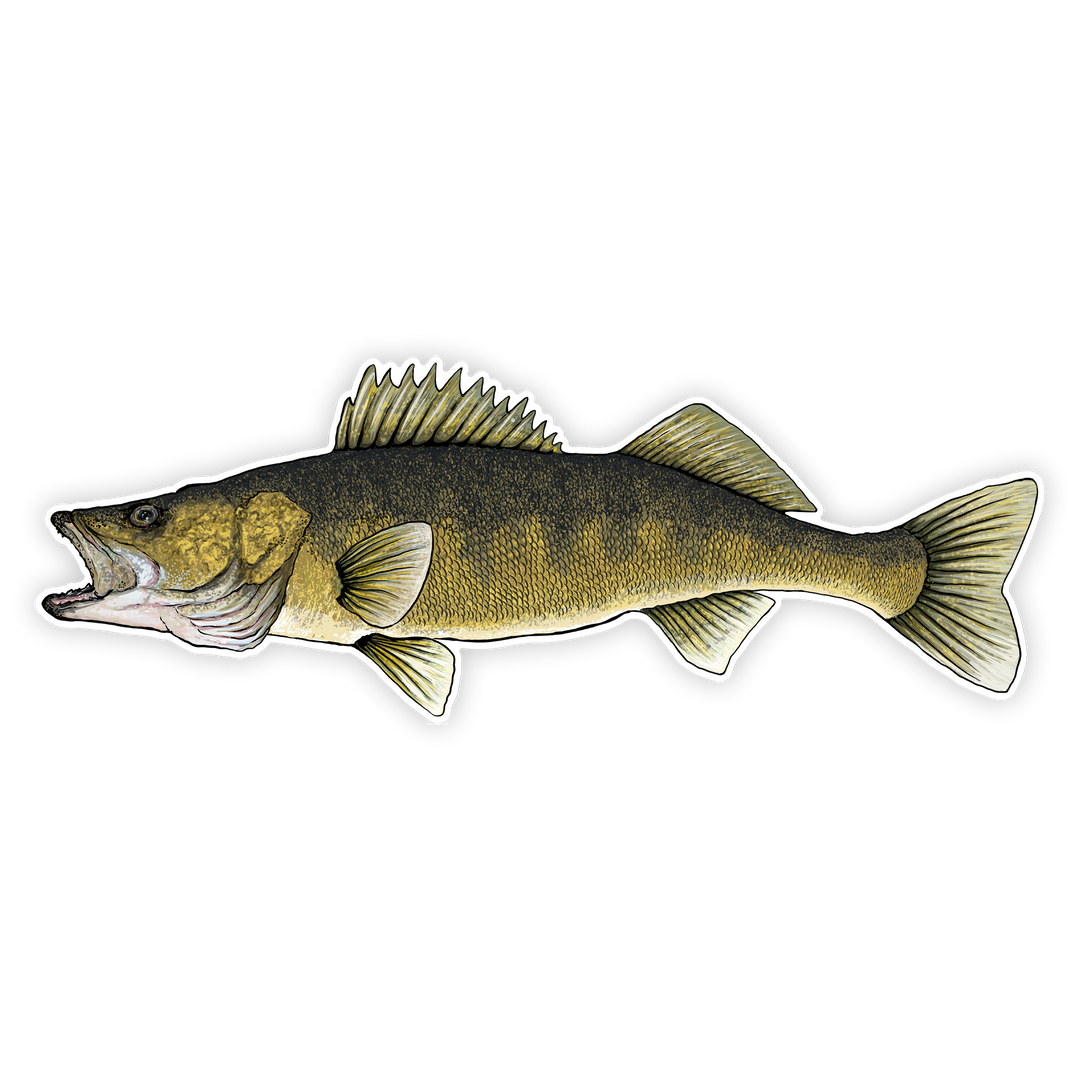 10" walleye decal left facing on white background