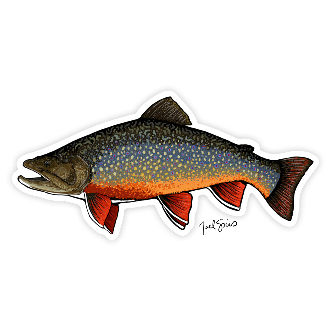 Brook Trout Decal