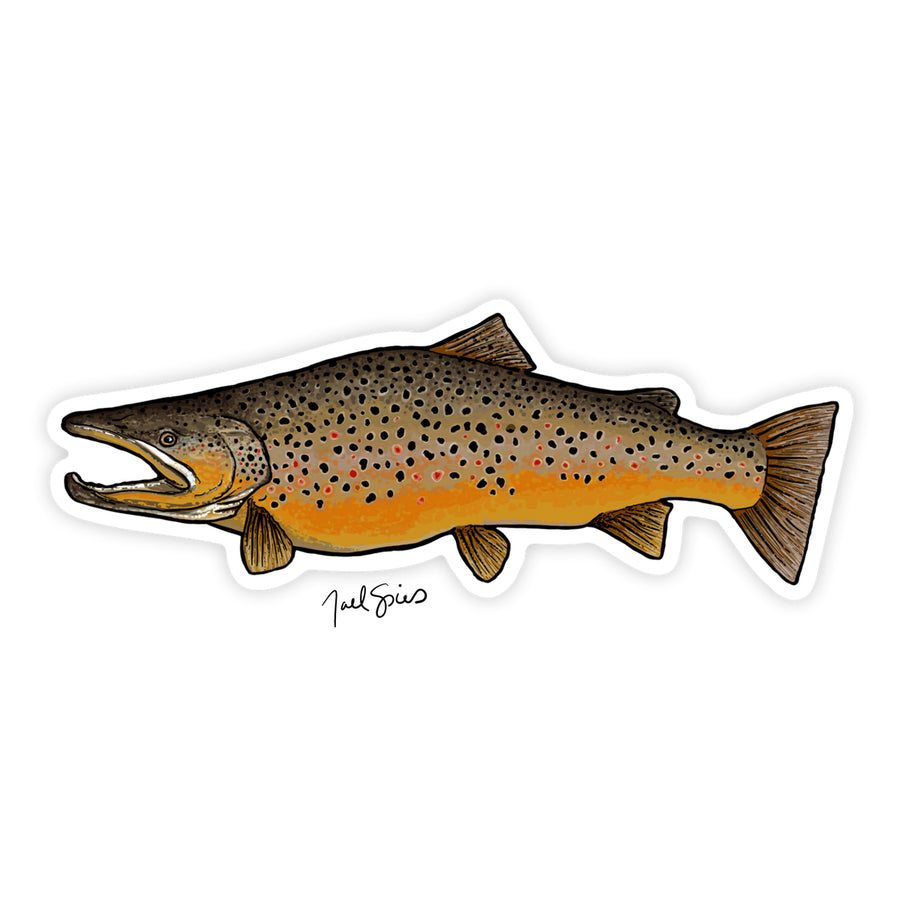 Brown Trout Decal