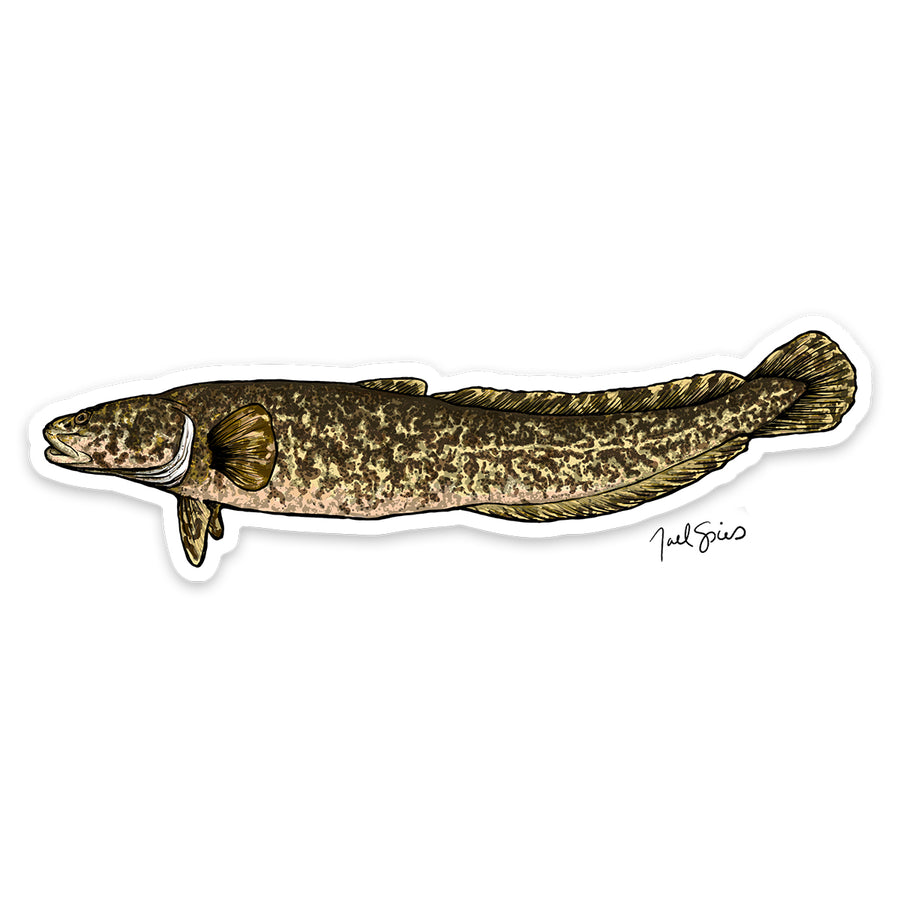 Burbot Decal