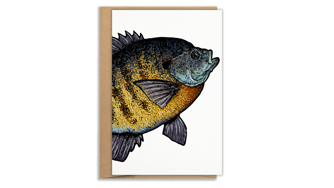 Bluegill Card