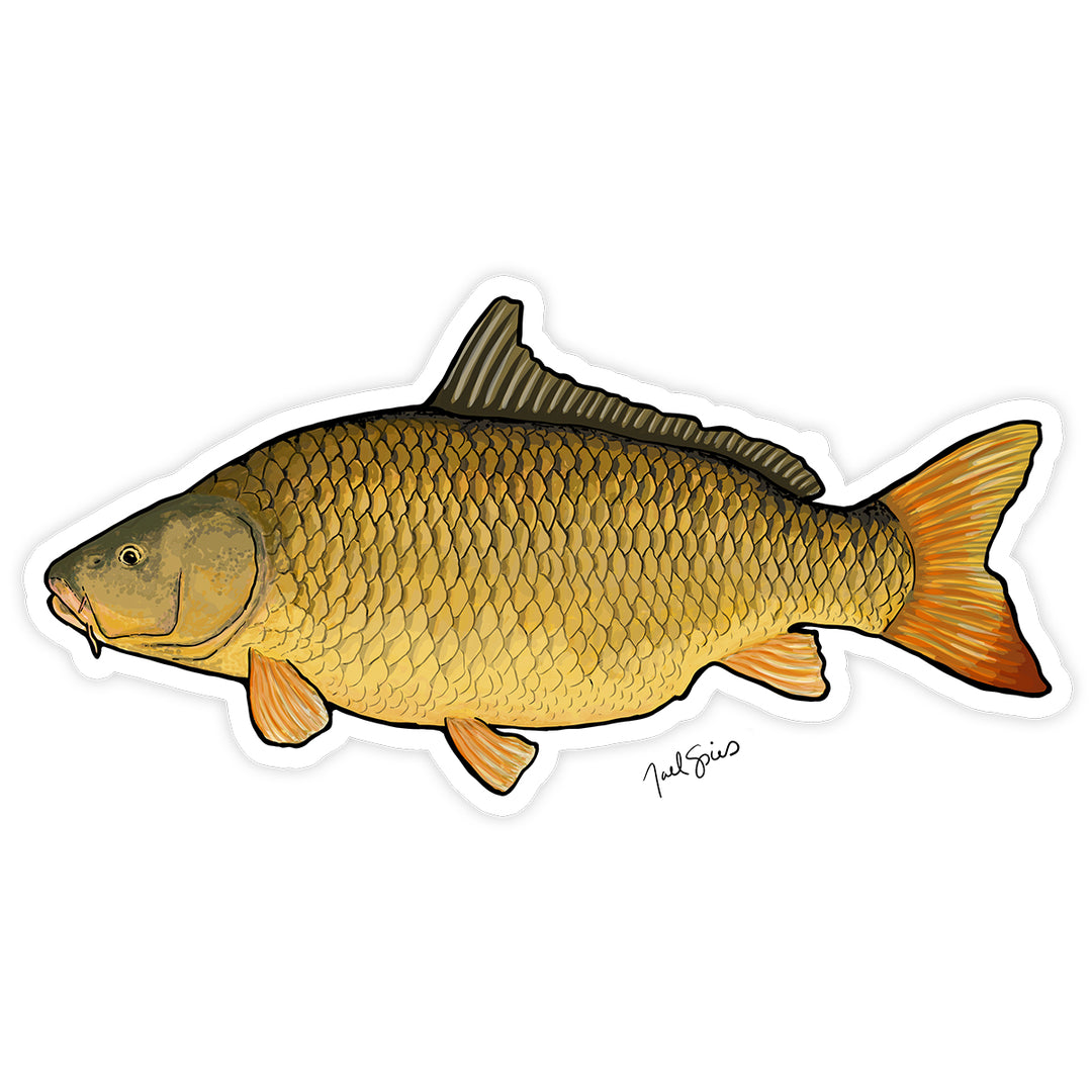 Carp Decal