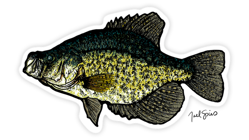 Crappie Decal