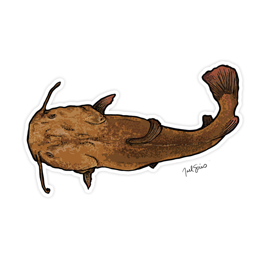 Flathead Special Decal