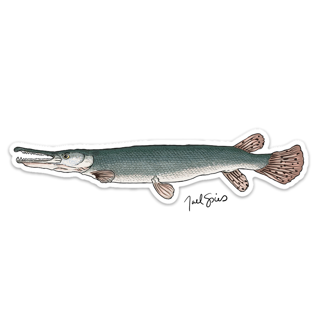Alligator Gar Decal