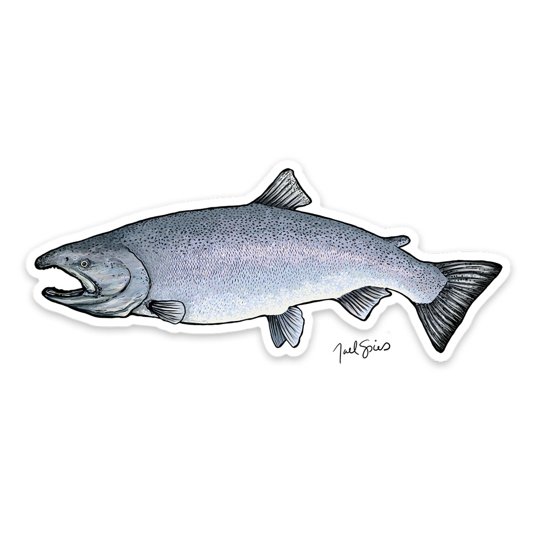 King Salmon Decal