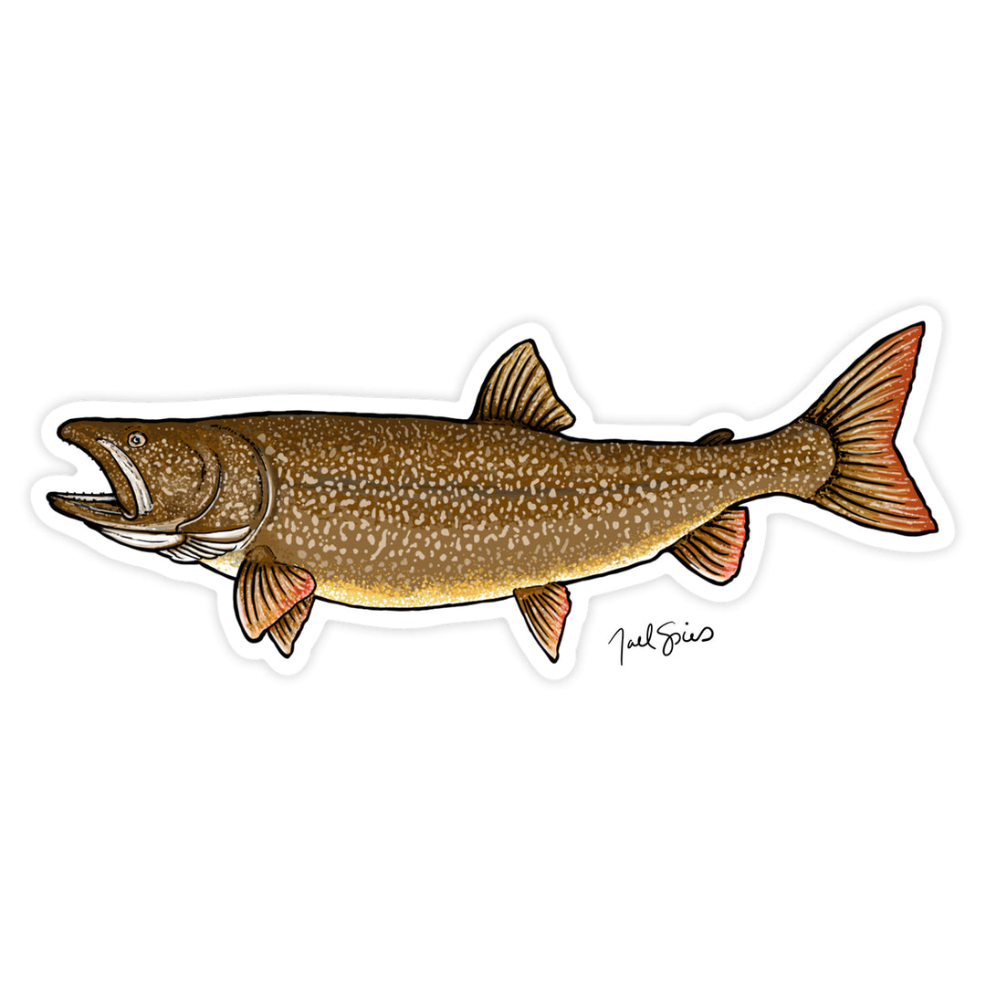 Lake Trout Decal