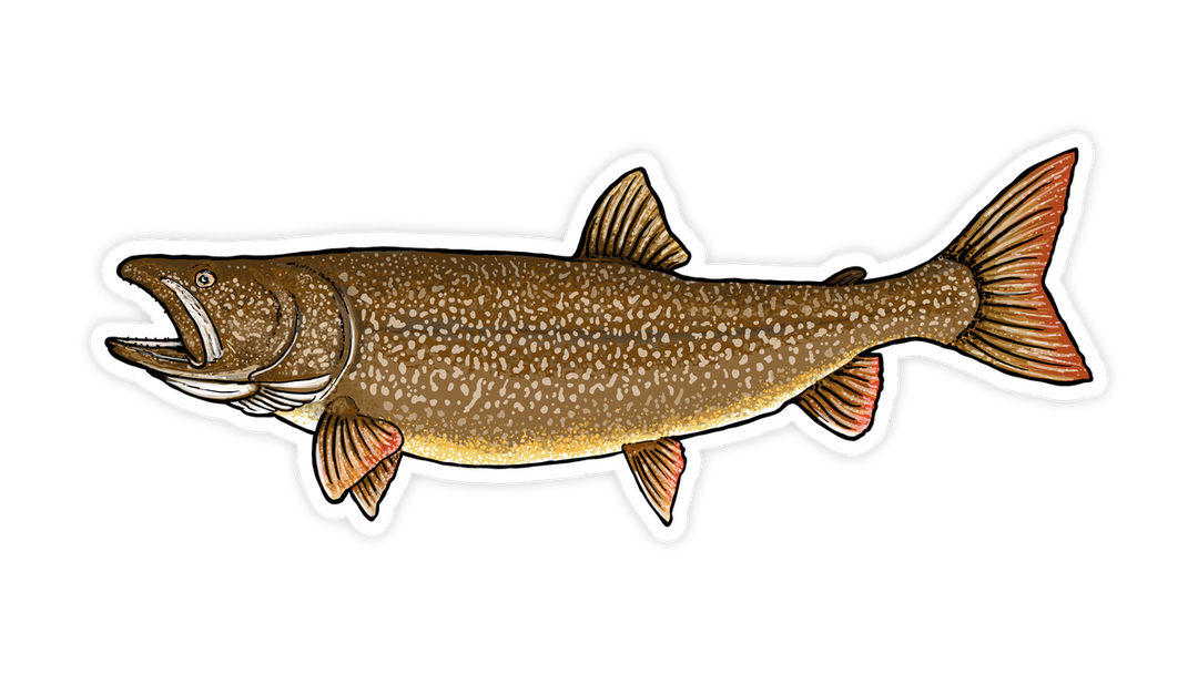 Lake Trout Mini Decal