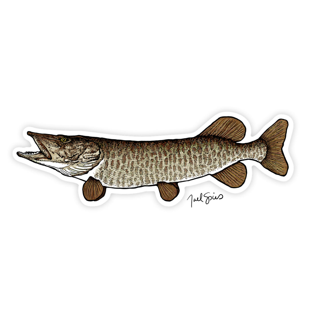 Musky Decal
