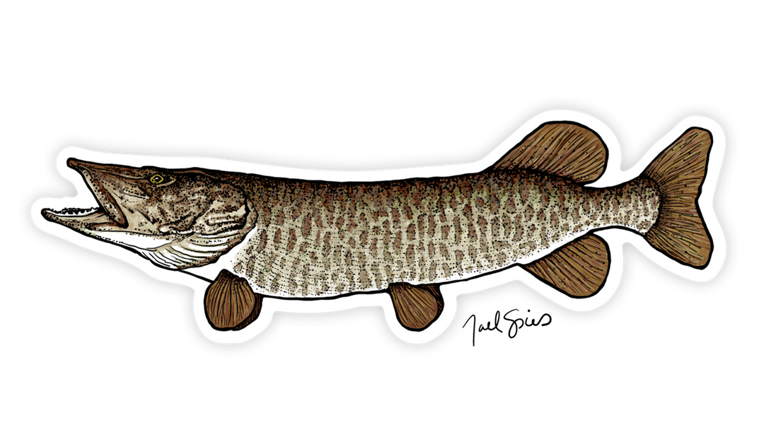 Musky Decal