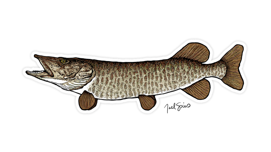 Musky Mini Decal