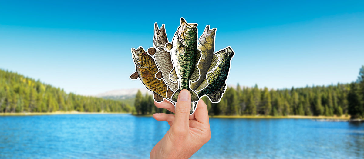A hand holds a cluster of die-cut fish-shaped stickers or decals in front of a blurred outdoor lake and forest background.