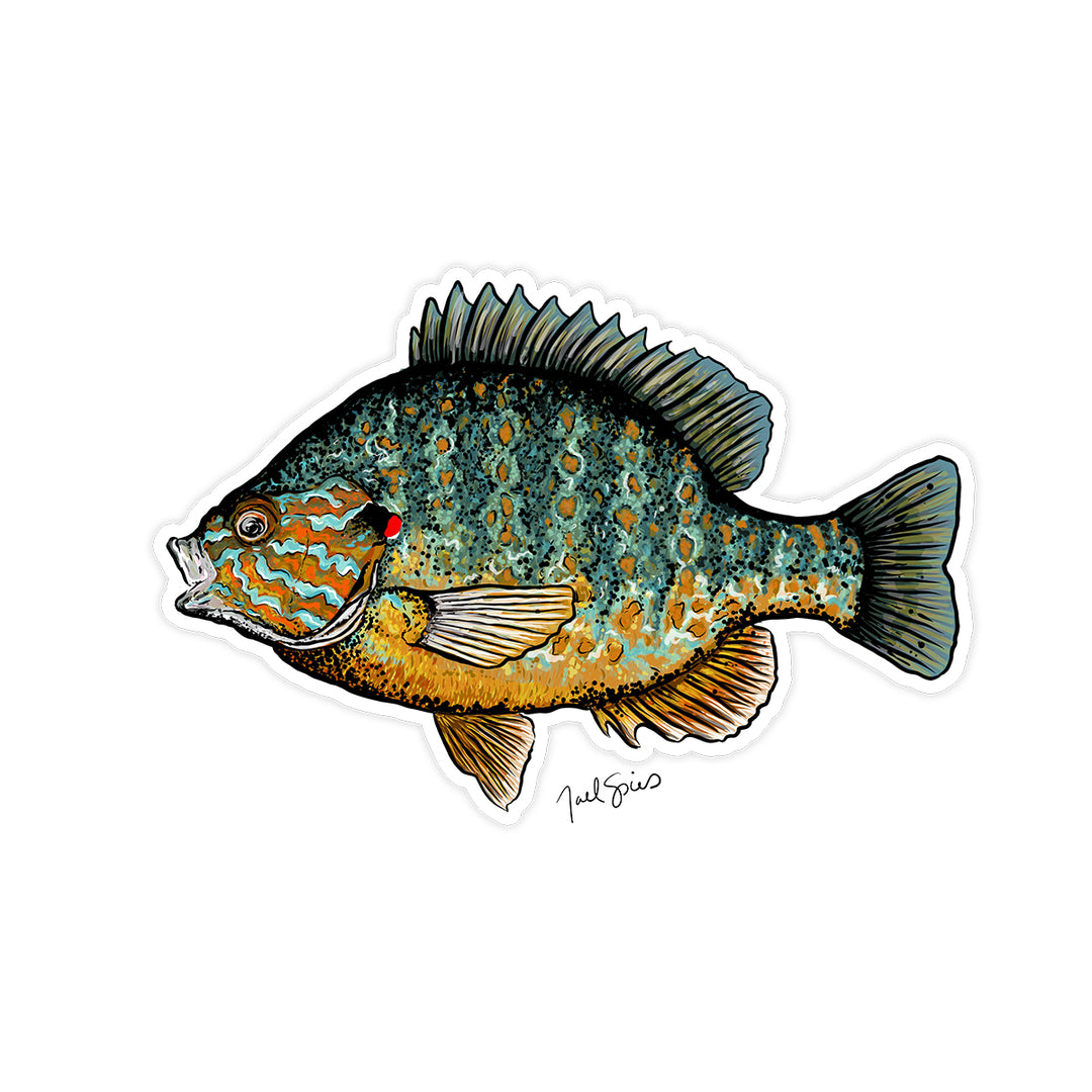 Pumpkinseed Decal