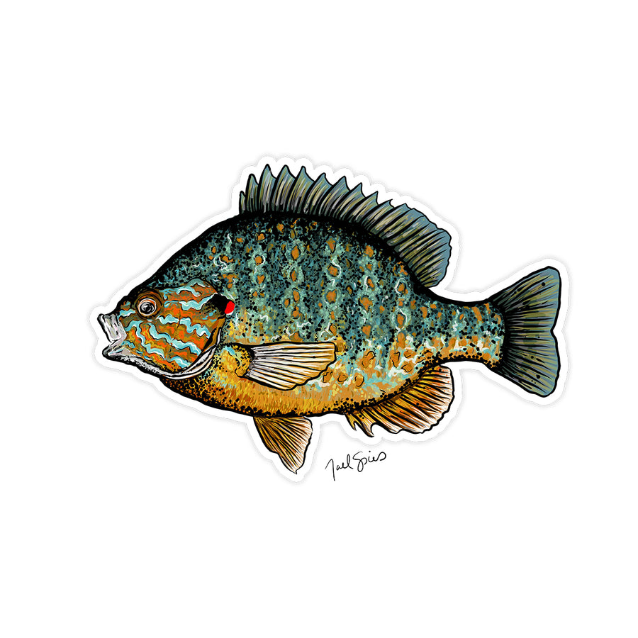 Pumpkinseed Decal