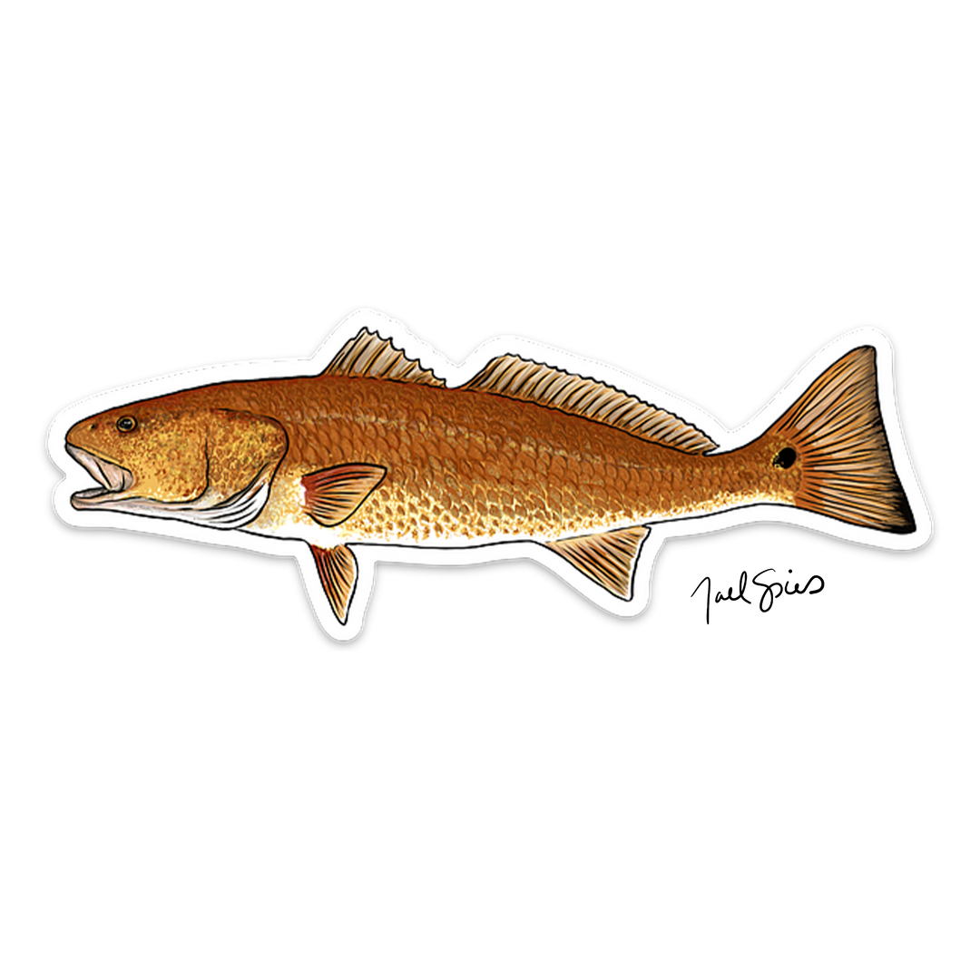 Redfish Decal