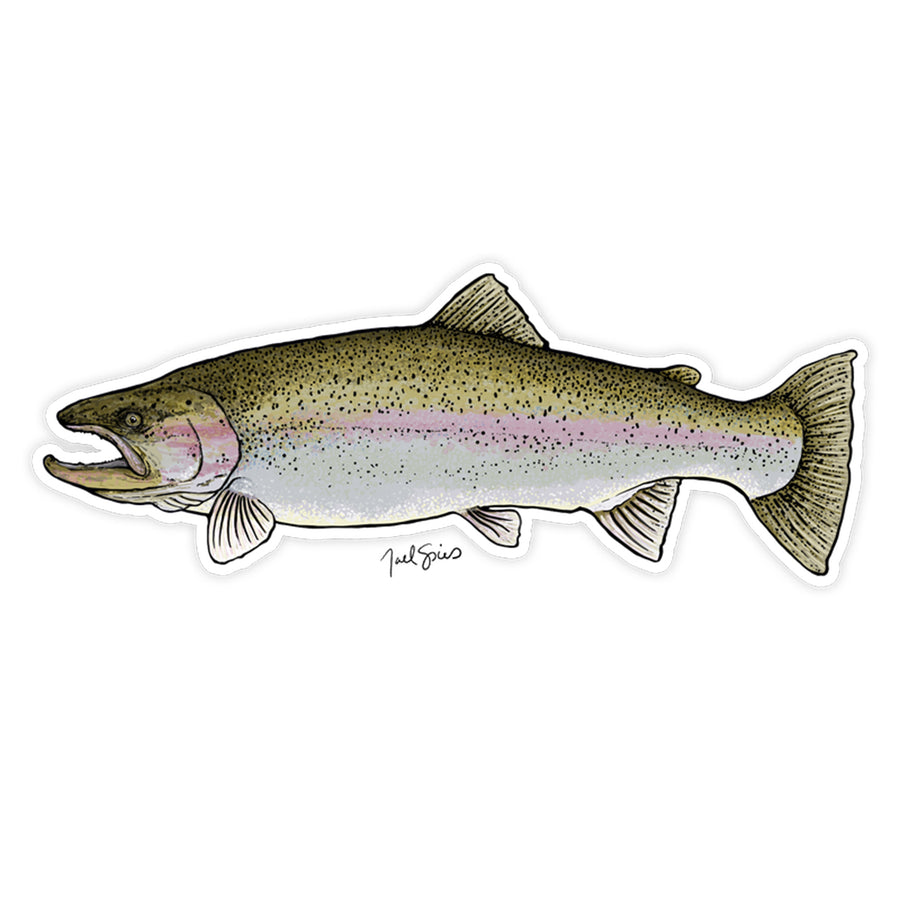 Rainbow Trout Decal