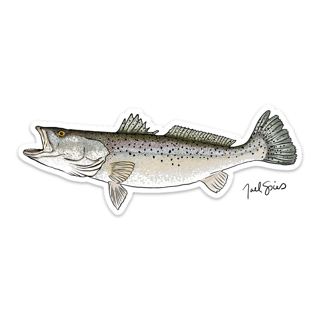 Speckled Trout Decal